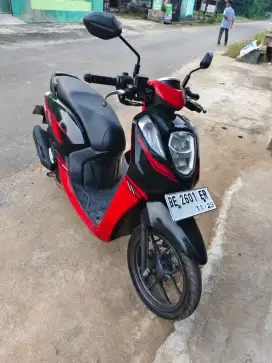 Genio merah murah
