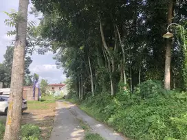 Tanah Area Kampus UII SHM Siap Bangun Kost