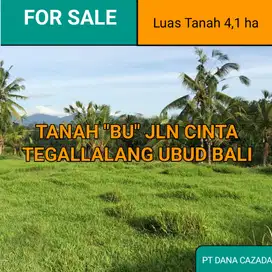 TANAH BU JLN CINTA TEHALLALANG UBUD 4,1HA
