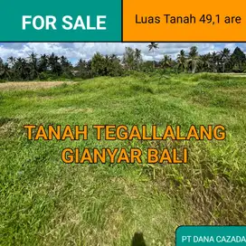 TANAH JLN CINTA TWGALLALANG 49,10 ARE (BISA DISEWA JUGA)