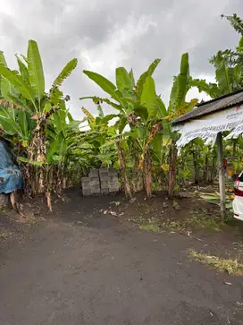 Dijual tanah batuan sukawati dekat ke ubud