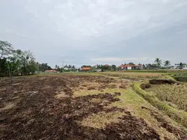 Dijual tanah pejeng kawan dekat ke ubud