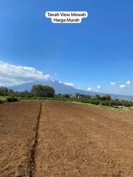 KAVLING MURAH KOTA MALANG LOKASI POTENSIAL SIAP BANGUN KOS