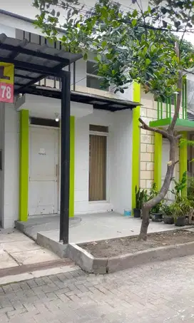 Muraaah Cluster di Komplek Pinus Regensi SDH Renovasi Harga Under D