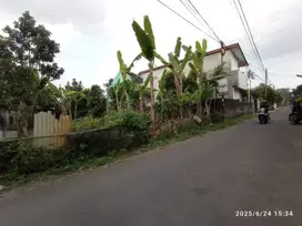 Tanah bagus dekat sd model maguwoharjo