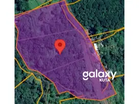 TANAH KEBUN SHM DI DESA BANGKALA KUBUTAMBAHAN BULELENG, BALI