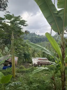 Jual tanah jatiluwih bonus ruma jatiluwih siap di tempati