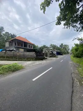 Jual tanah tabanan tunjuk tanah tegalan dekat marga tabanan