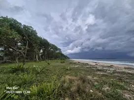 Tanah di pantai krui