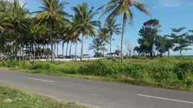 Tanah pinggir pantai mandiri krui