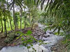 Dijual murah tanah datar dengan sungai dan view sawah di tabanan bali