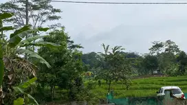 Tanah Kebun Durian Manggis Pinggir Sungai di Purwakarta Dijual Murah