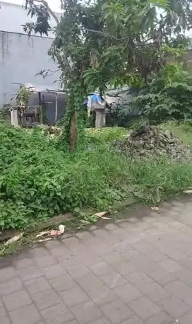 DIJUAL TANAH 4 ARE SHM HADAP UTARA DI MUNGGU MD