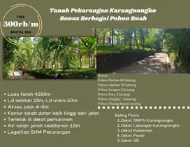 CARI INVESTASI? INI JAWABANNYA BELI TANAH BONUS BERBAGAI POHON BUAH