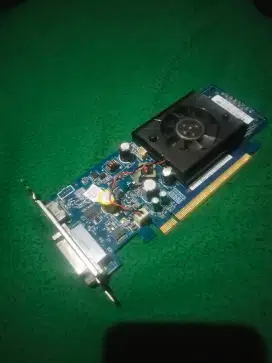 NVIDIA GeForce 9300G ddr2