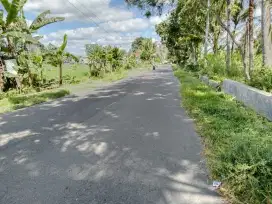 Disewakan tanah SHM pinggir raya di Demangan Wedomartani Ngemplak