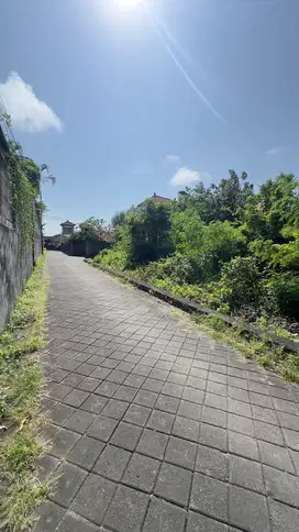 Dijual Tanah Premium 500m2 di Belakang Hotel Amarrossa Bali