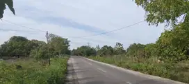 Dijual Murah Tanah Strategis Jalur Wisata Pantai Oro