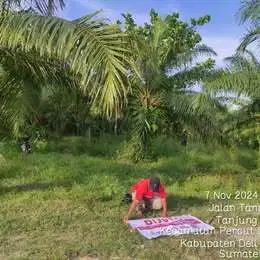 Disewakan atau Dijual lahan murah (Eks Purba)