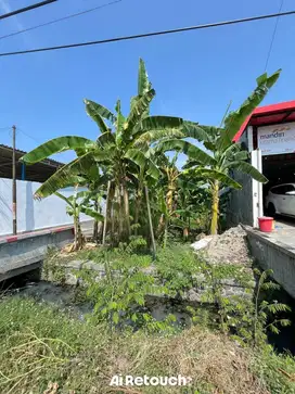 TEGAL MARGADANA TANAH PINGGIR JALAN PANTURA LUAS JUAL MURAH