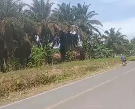 Tanah As1 Senawar Bayung Lencir dekat Pintu Tol