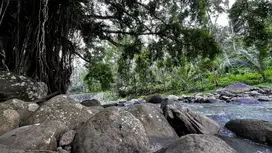 Jual tanah luas kecil view sungai cantik di tabanan Bali.