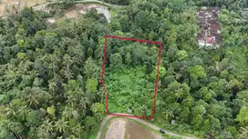 Jual tanah view sawah Los sungai di tabanan Bali.