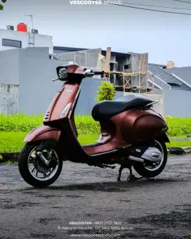PIAGGIO VESPA MATIC PRIMAVERA 2018