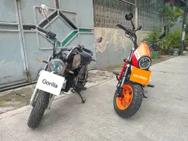 Honda Monkey & Gorilla (borongan)