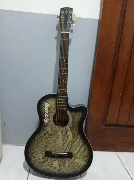 For sale guitar