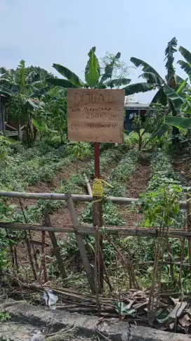 Dijual Tanah Tanpa Perantara SHM 250 M2
