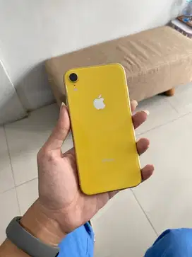 iPhone Xr 128Gb singal permanent