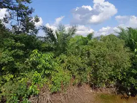 Penawaran Tanah Strategis di Jl. Taqwa Mata Merah, Palembang – 2,4 Ha