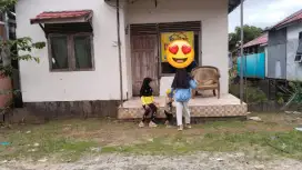 Disewakan rumah