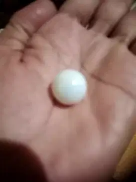 Di jual batu mutiara asli Maluku