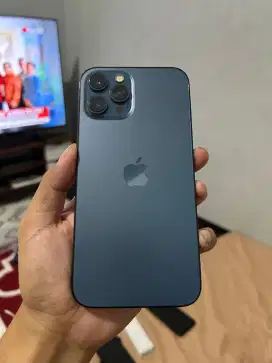 Iphone 12 Pro Max 256 GB Pasific Blue
