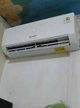 Ac sharp 1/2 pk