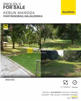 Dijual Lahan, Kebun Mangga dan Villa di Panyingkiran Majalengka