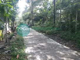 Jual Tanah Murah Di Pajangan Bantul Cocok Untuk Investasi, 400 Ribuan