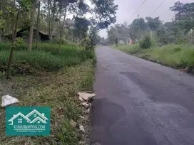 Jual Tanah Murah Tepi Jalan Aspal Lavatour Cangkringan, 400 Ribuan !