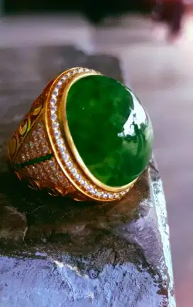 Lumut Kumbang Jati