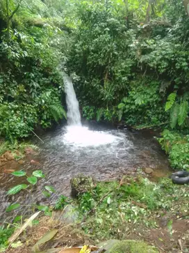 LAND FOR SALE with BEAUTIFUL WATERFALL at Buleleng Munduk