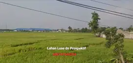 (AD) Tanah Industri LD 145 mtr, dpn Exit TOL Caruban MADIUN, Bagus