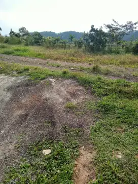 Sewa tanah pertanian bogor