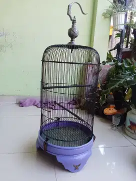 Kandang lovebird