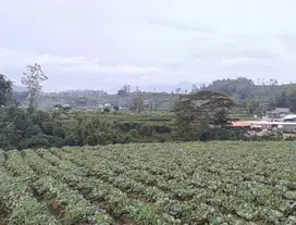 Tanah dekat Golden Tulip Hotel Batu Malang