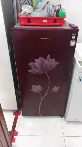 Kulkas polytron 1pintu