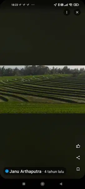 Spacious Land for SALE near SOKA Beach at Tabanan Antap Selemadeg