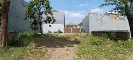 Villa Taman Telaga - Citraland