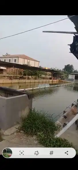 Tanah Ada Kontrakan Pemancingan Cocok Untuk Usaha